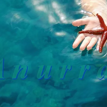 Anurra-isola3-marino